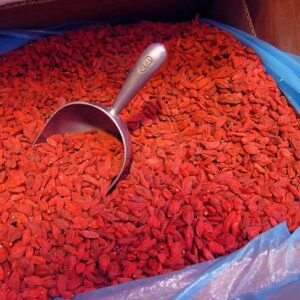 111 Bayas Del Goji