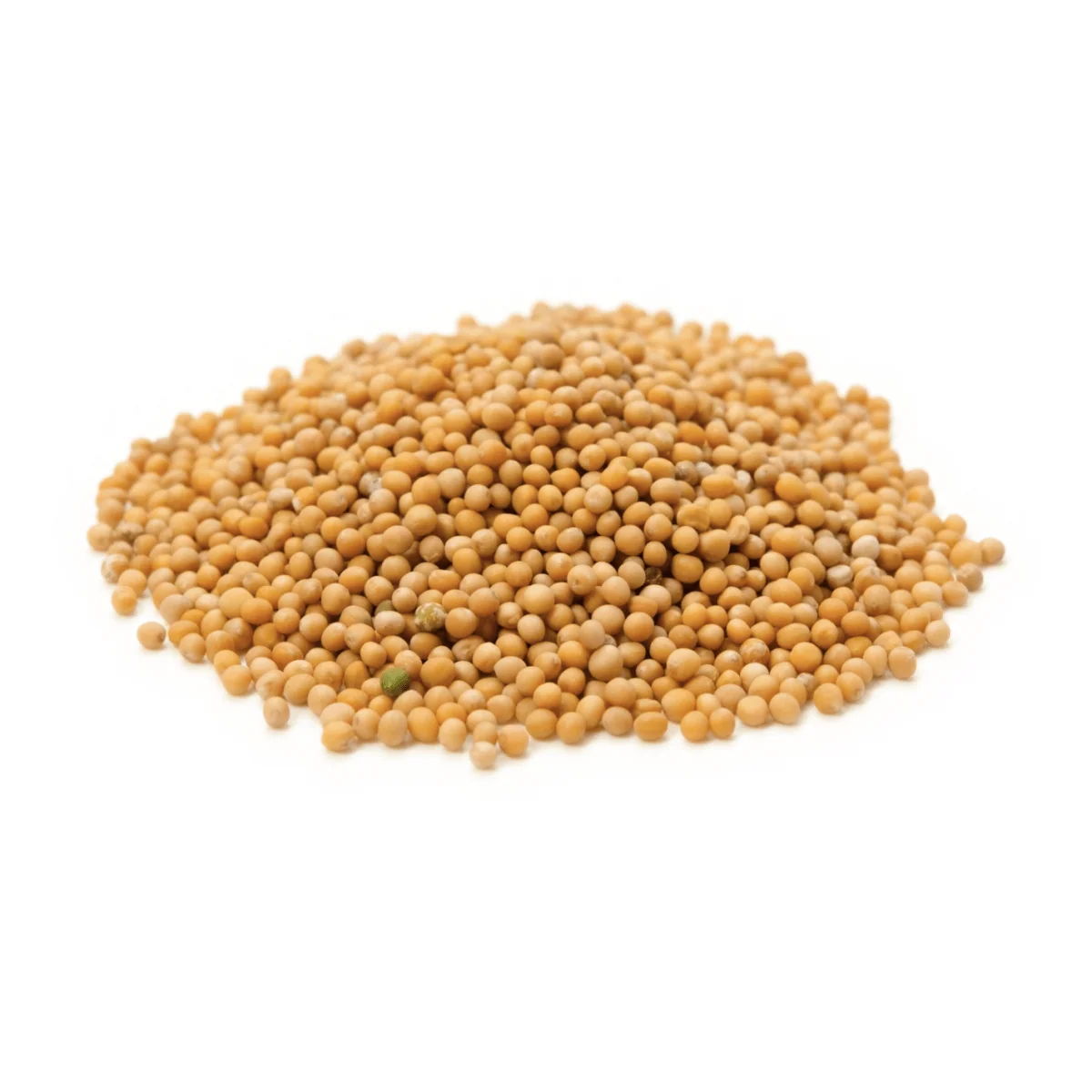 151 Mostaza Grano