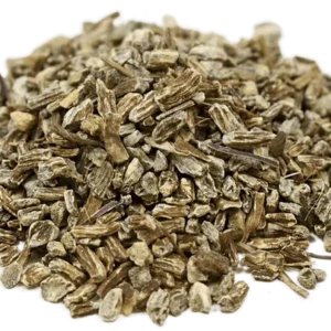 308 Equinacea Raiz