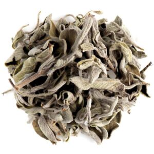 379 Salvia