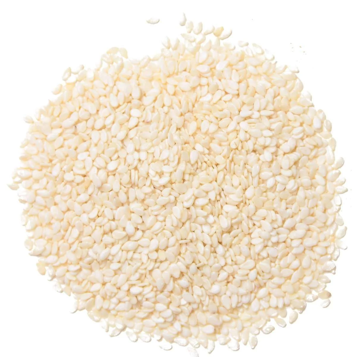 47 Sesamo Blanco