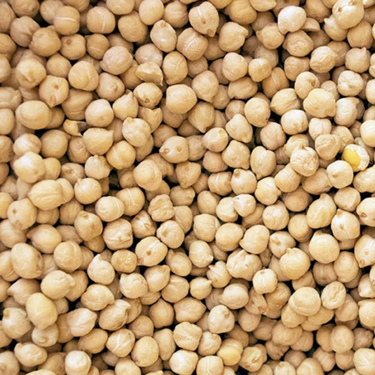 533 Garbanzo Extra Garbanza