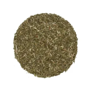 612 Verbena