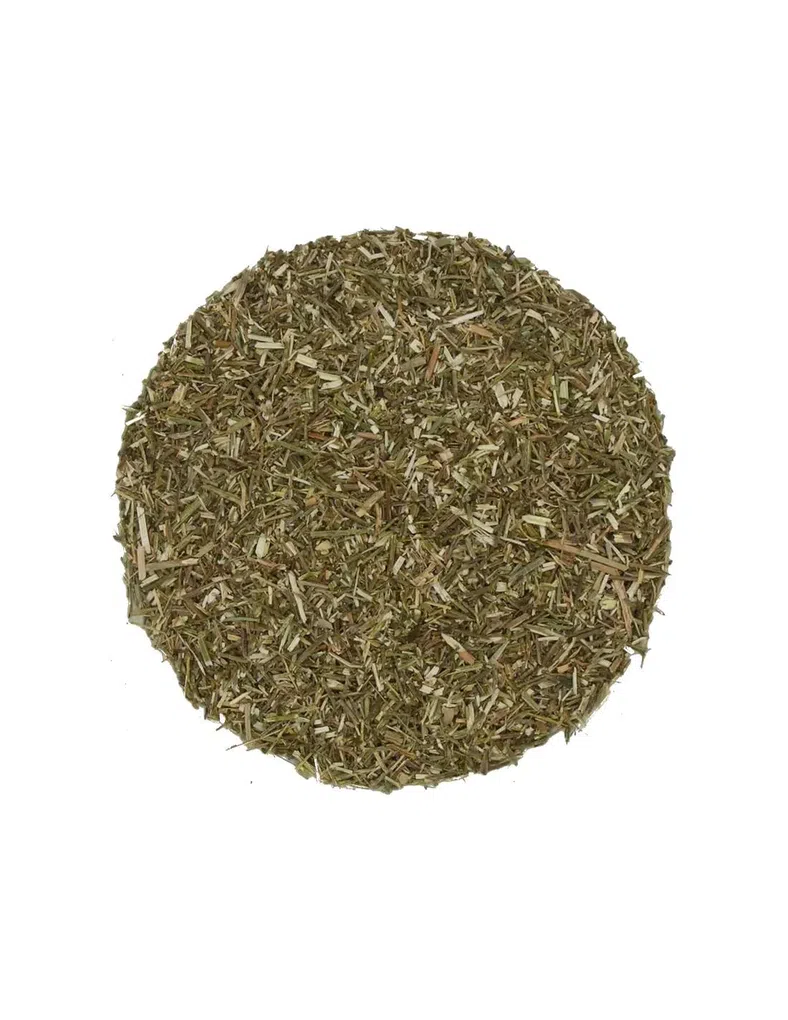 612 Verbena