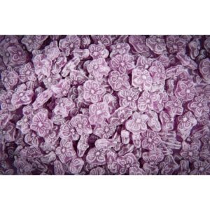 638 Caramelo De Violeta