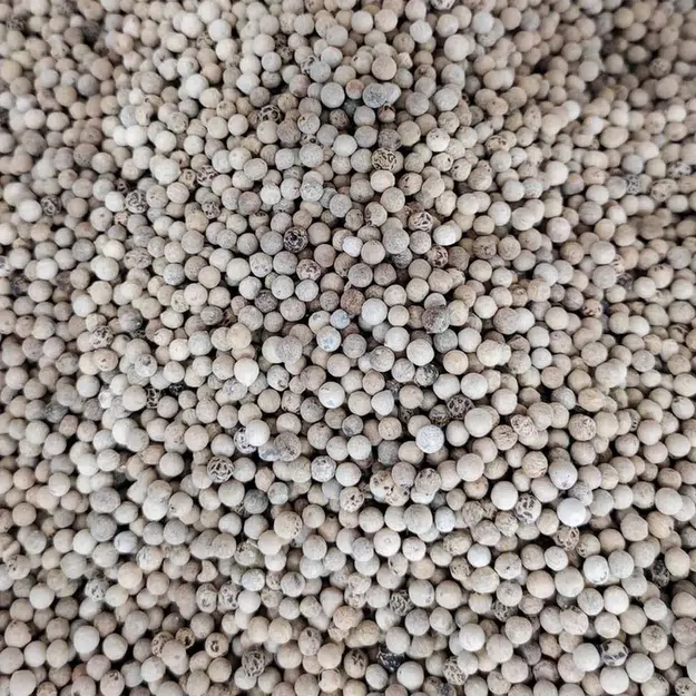 657 Pimienta Blanca Grano
