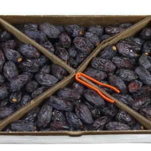 675 Datil Medjl Jumbo